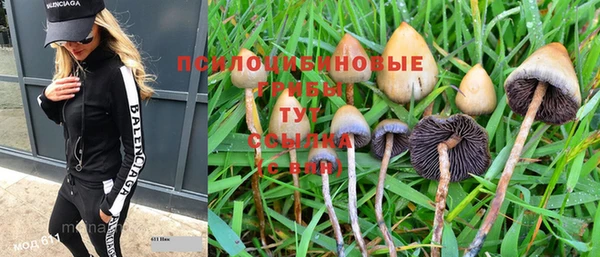 ПСИЛОЦИБИНОВЫЕ ГРИБЫ Аркадак