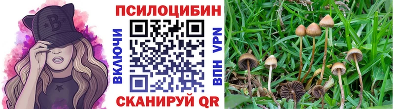 как найти наркотики  Долинск  Галлюциногенные грибы MAGIC MUSHROOMS 